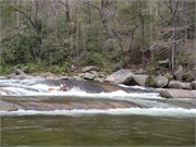 Wilsons Creek 37